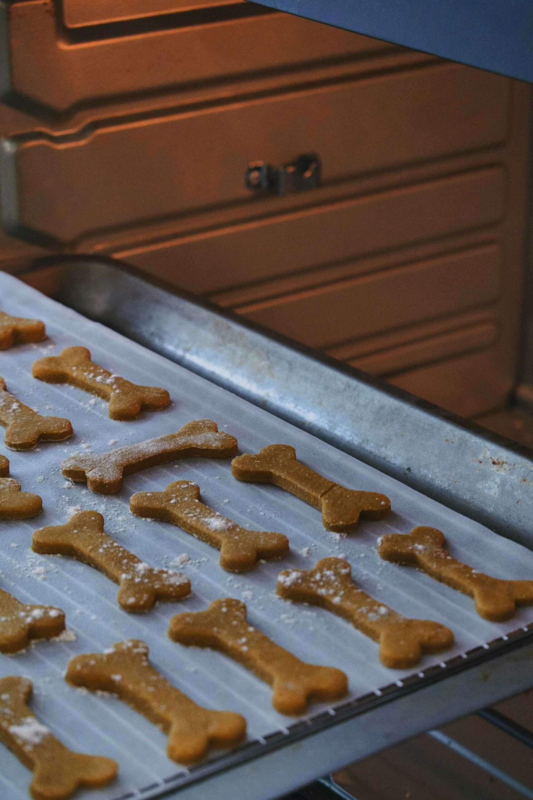 Hundesnacks selber machen Rezepte Käse-Knusperle, Fleischbällchen, Erdnussbutter-Kürbis-Kekse und mehr