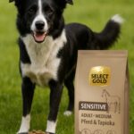 Select Gold Sensitive Hundefutter mit Pferd 12 kg